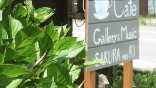 オルゴールコンサート in 桜の木